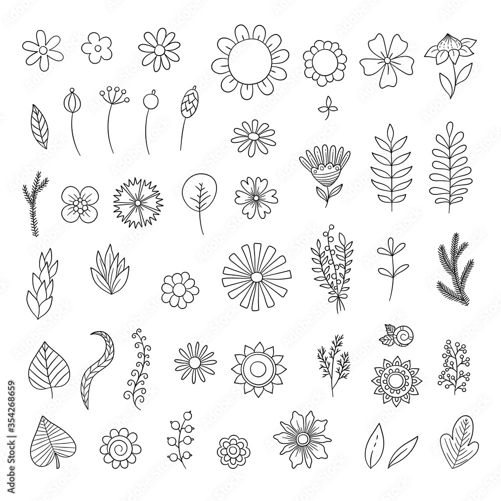 Flowers doodle. Simple floral botanical collection leaves flowers
