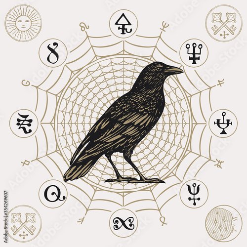 Banner on the theme of witchcraft with a wise black crow in vintage style. Vector illustration with a sorcery Raven on a background of decorative cobweb with scribbles imitating magic symbols