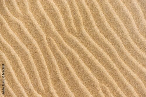 Top view of sandy beach and visible sand texture.