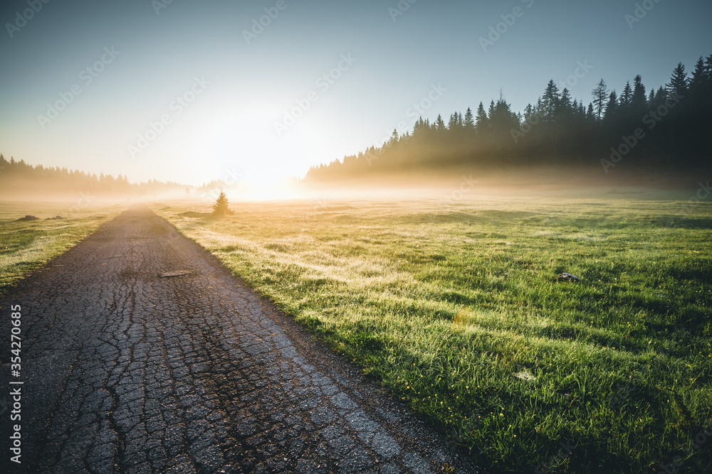 Fototapeta premium Idyllic misty pasture in the sunlight. Locations place Durmitor National park, Montenegro, Balkans, Europe.