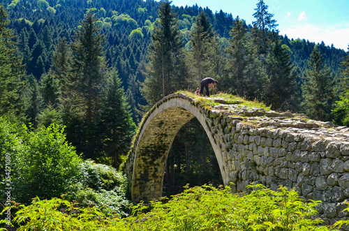 Alte Bogenbrücke in Rize Camlihemsin	 photo