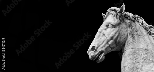 Ancient roman marble statue of an horse at the top of Capitoline Hill in Rome, dated back to the 1st century BC (Black and White with copy space)
