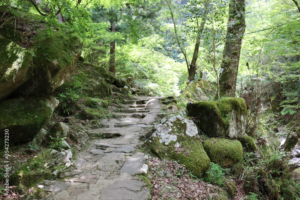 日本の山奥の景色 日本の山奥の景色