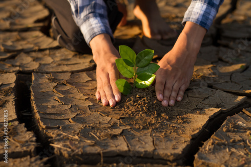 Hand of young people planting a small plant, seedling on dry cracked dirt metaphor the nature can be recovery by our hand, climate change solution and stop global warming concept.