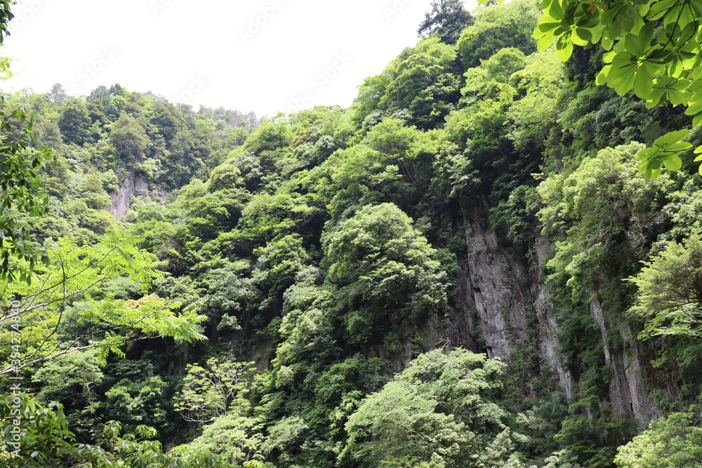日本の山奥の景色 日本の山奥の景色