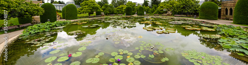 Tranquil pond with lilies in Stuttgart zoo. Germany.