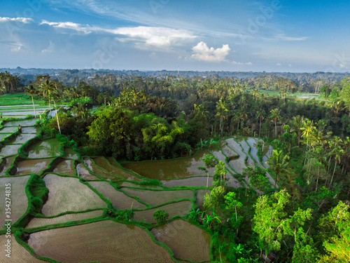 Tourist destination-Bali. Aerial view of the village next to the rice terraces. Ecological traditional farming in Bali. 