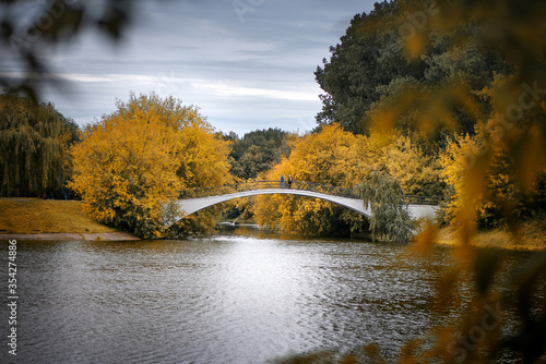 Golden autumn and bridge over the lake in the publuc park © Gioia