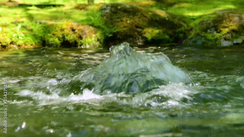 地面から湧き出る清潔で綺麗な湧水 Stock Video | Adobe Stock