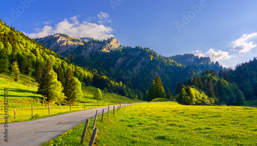 Alpine landscape with spring meadow, forest, road and rocky mountains under blue sky. Allgäu Alps. Bavaria, Germany