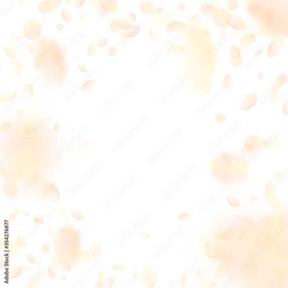 Yellow orange flower petals falling down. Emotiona Yellow orange flower petals falling down. Emotiona