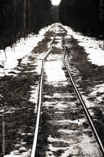 Narrow gauge railroad (dolly way) in logging. photo