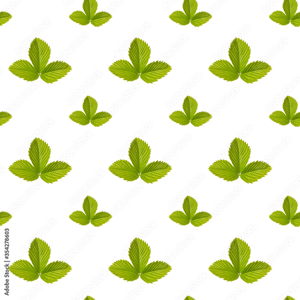green leaves seamless pattern on white background green leaves seamless pattern on white background