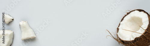 top view of fresh tasty coconut half and cracked pieces on white background, panoramic shot