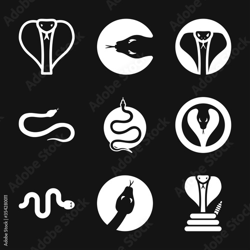Snake vector icon, animal symbol isolated on background.
