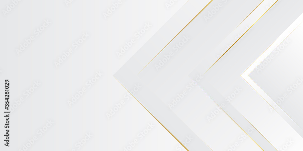 Modern abstract light silver background vector. Elegant concept design with golden line. Vector illustration design for presentation, banner, cover, web, flyer, card, poster, wallpaper, texture, slide Modern abstract light silver background vector. Elegant concept design with golden line. Vector illustration design for presentation, banner, cover, web, flyer, card, poster, wallpaper, texture, slide