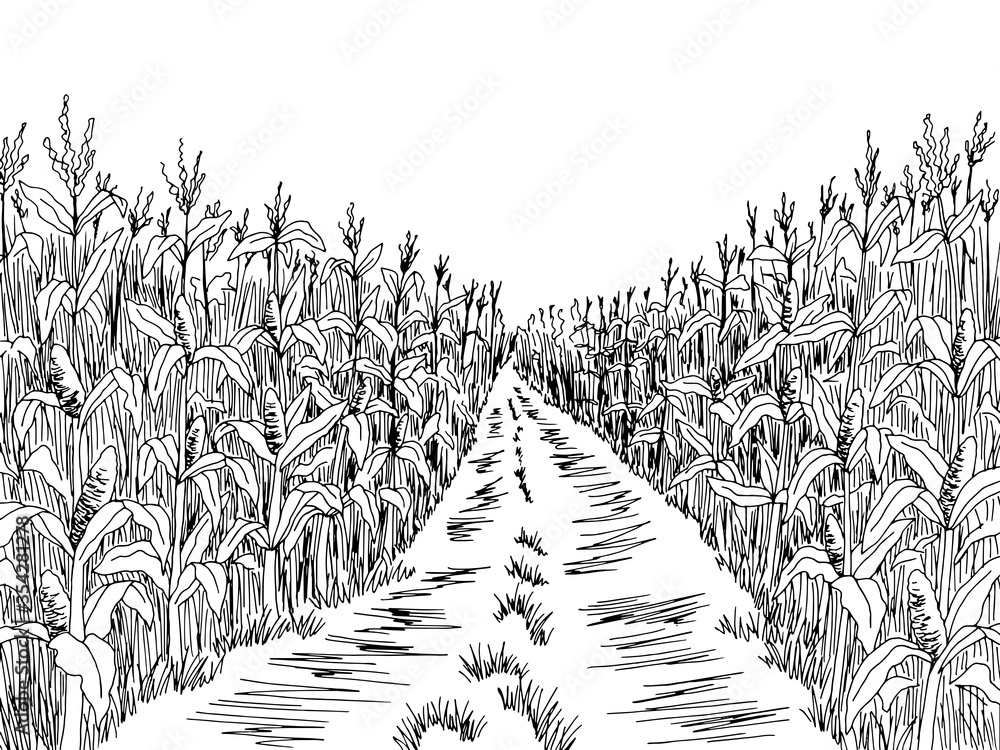 Cornfield road graphic black white landscape sketch illustration vector Stock Vector Adobe Stock