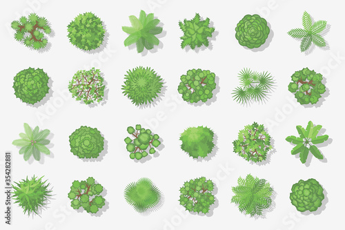 Trees top view. Different plants and trees vector set for architectural or landscape design. (View from above) Nature green spaces.