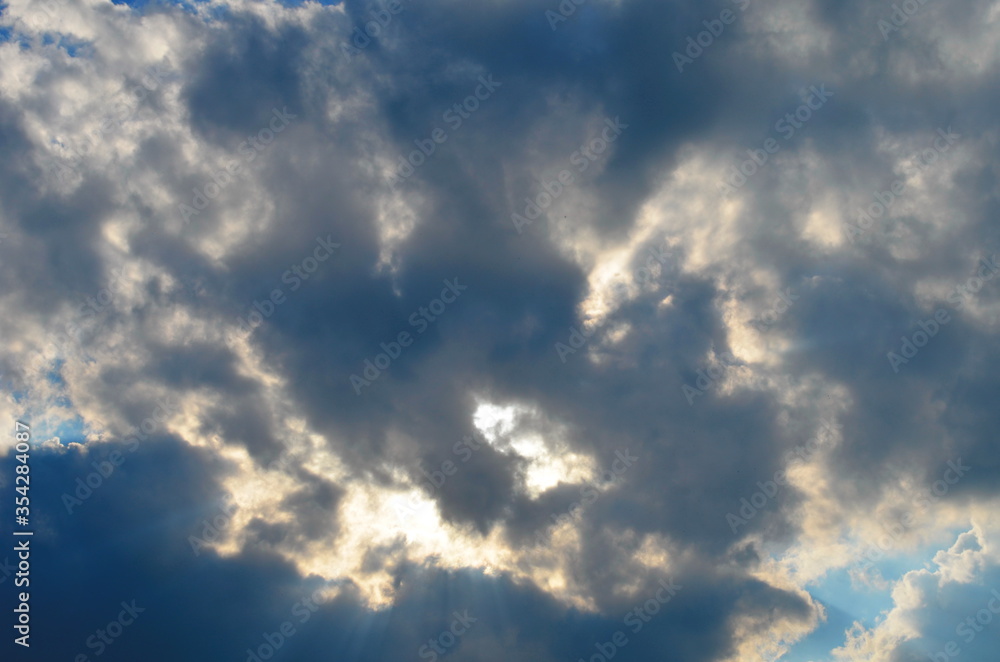Fototapeta premium the sky above the trees in the forest