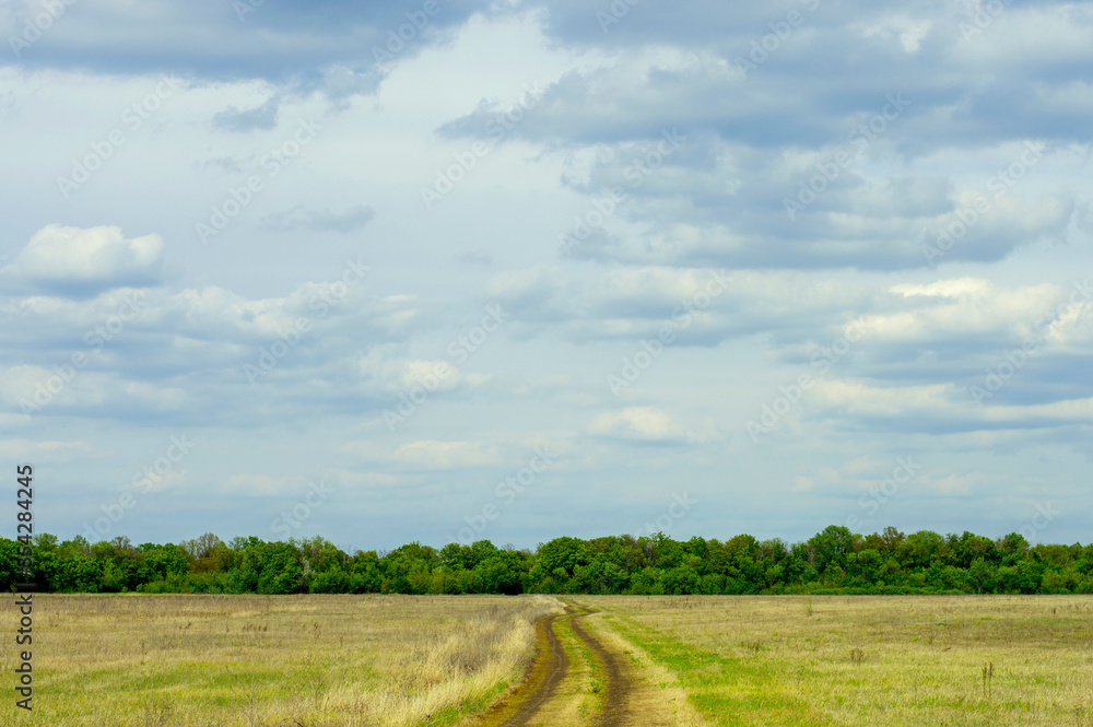 dirt road against a forest belt and sky dirt road against a forest belt and sky