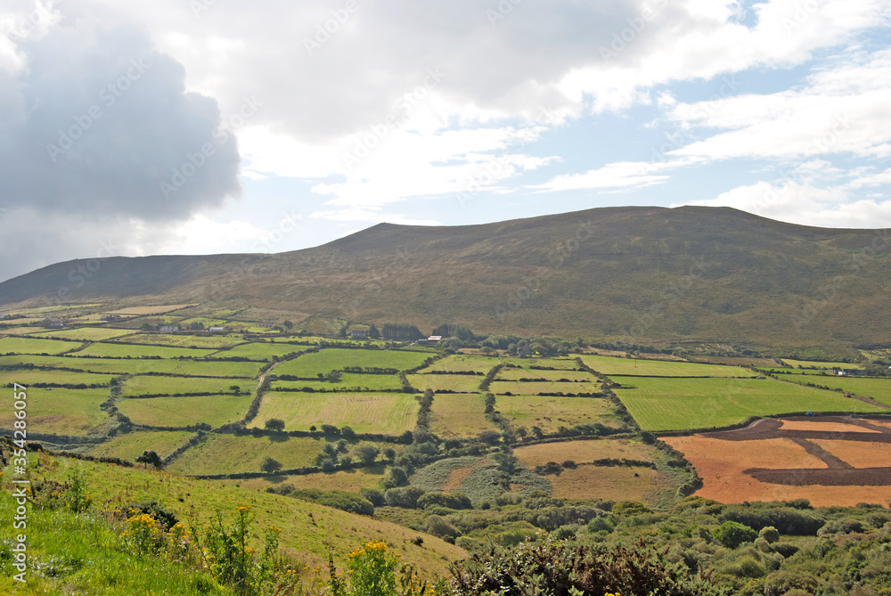 Obraz premium Green landscape with lots of fields, Ireland