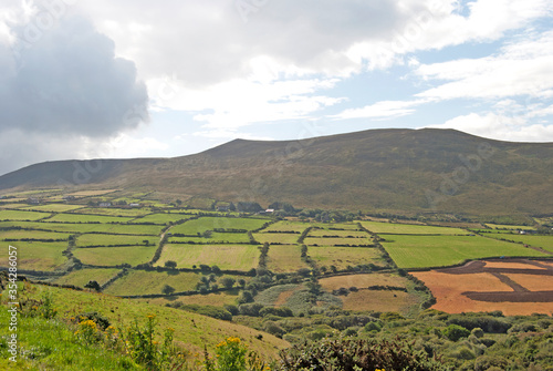 Green landscape with lots of fields  Ireland