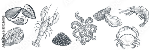 vector drawing seafoods