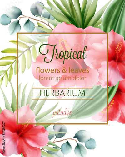 Tropical flowers and leaves herbarium with place for text
