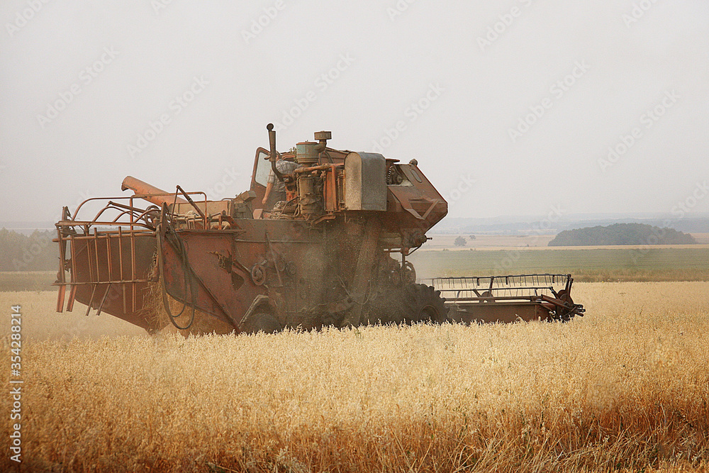 Fototapeta premium combine harvester working on the field