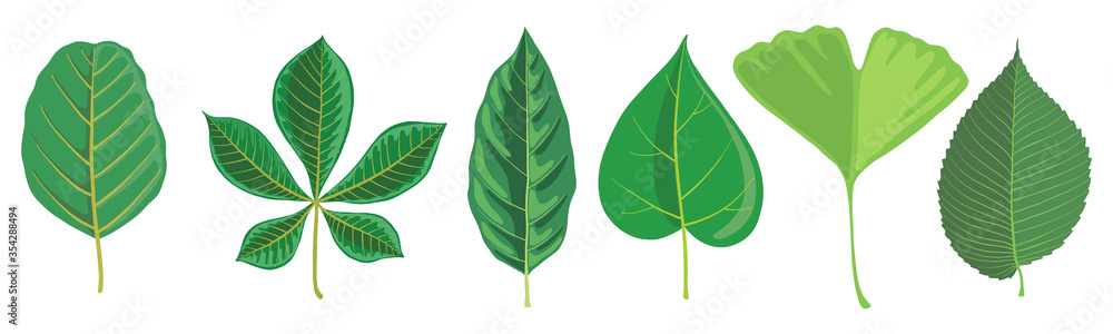 vector set of tree leaves vector set of tree leaves