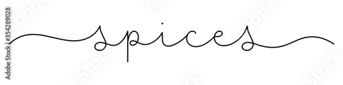 SPICES black vector monoline calligraphy banner with swashes