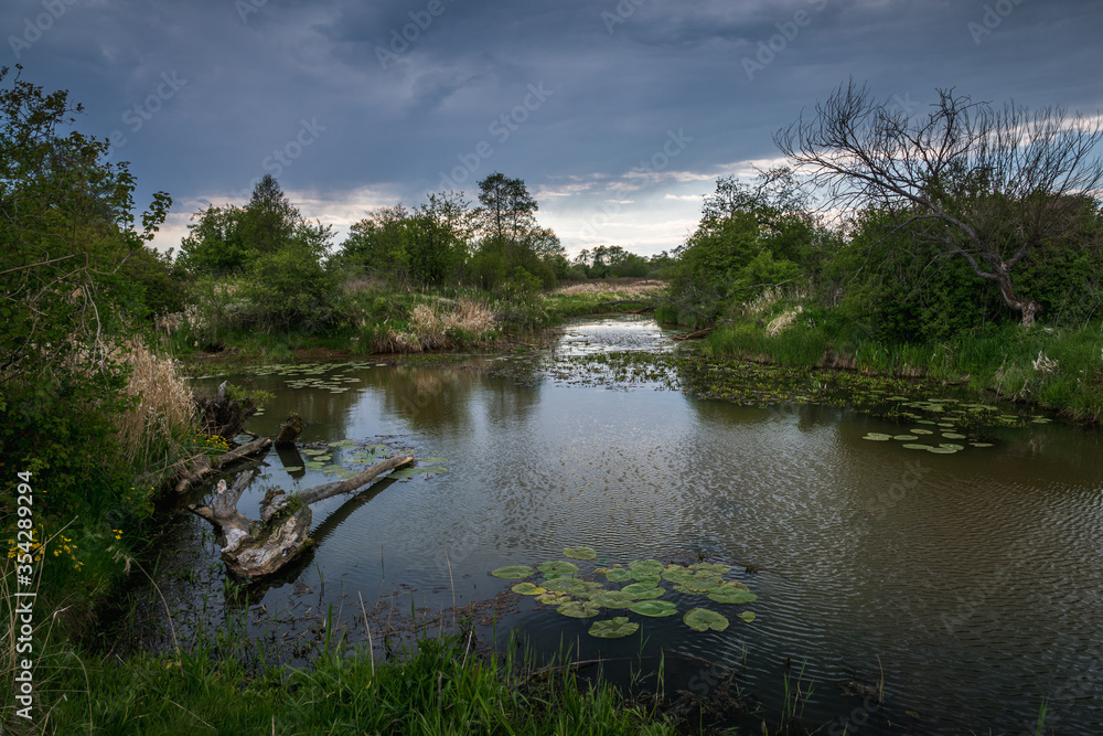 Pilica river at cloudy day near Gostomia, Mazowieckie, Poland