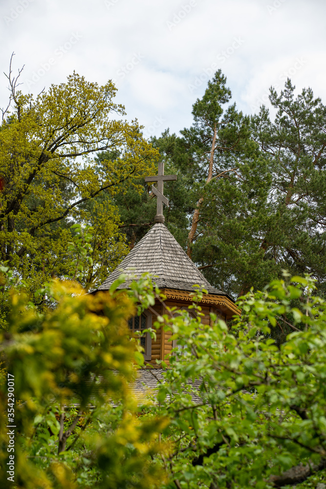 Fototapeta premium old wooden crunch in the forest 