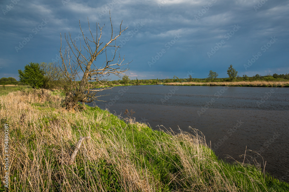 Pilica river at cloudy day near Gostomia, Mazowieckie, Poland