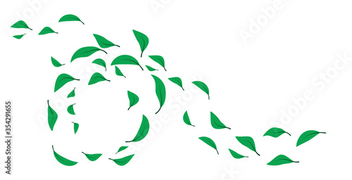 folata di vento, foglie verdi,  foglia