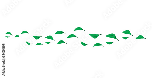 folata di vento, foglie verdi,  foglia
