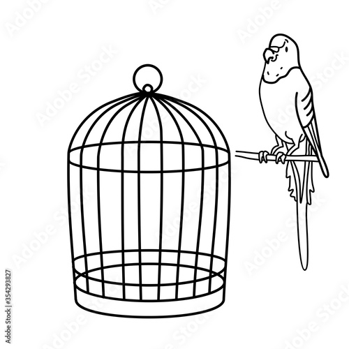 Outline drawing. A budgie is sitting near the cage. Line