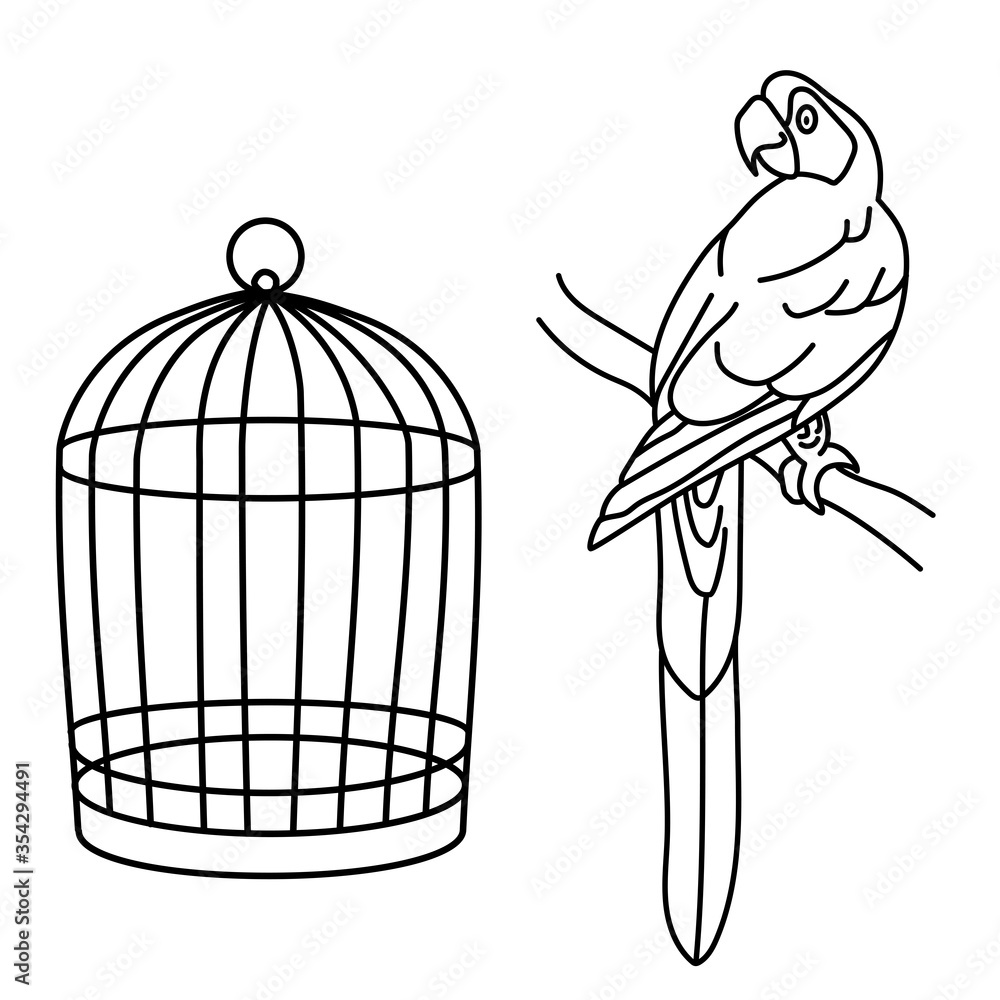 Fototapeta premium Outline drawing. Macaw parrot and cage. Line. Paint