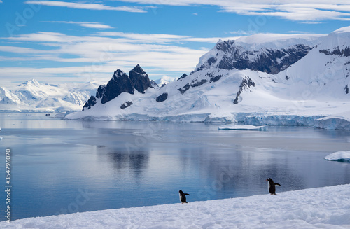 Gentoo penguins on a hill with a fantastic view over the snowy Antarctic landscape