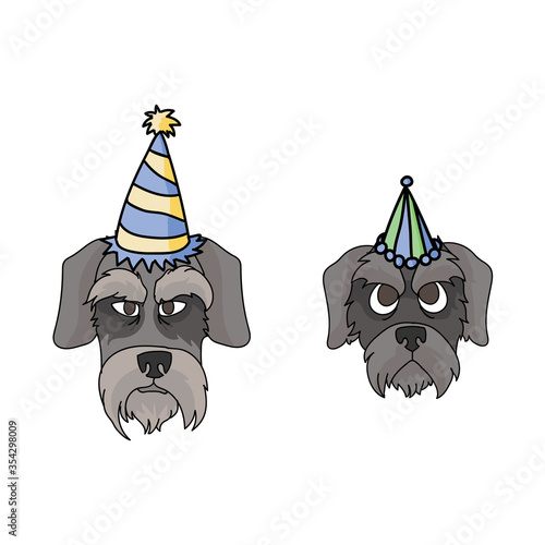 Cute cartoon schnauzer dog and puppy face with party hat vector clipart. Pedigree kennel doggie breed. Purebred domestic puppy terrier for celebration illustration mascot. Isolated canine English.