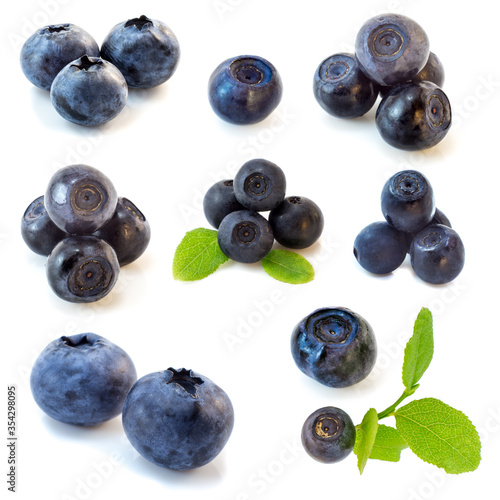Collection set of Blueberry isolated on white background in variety of views.