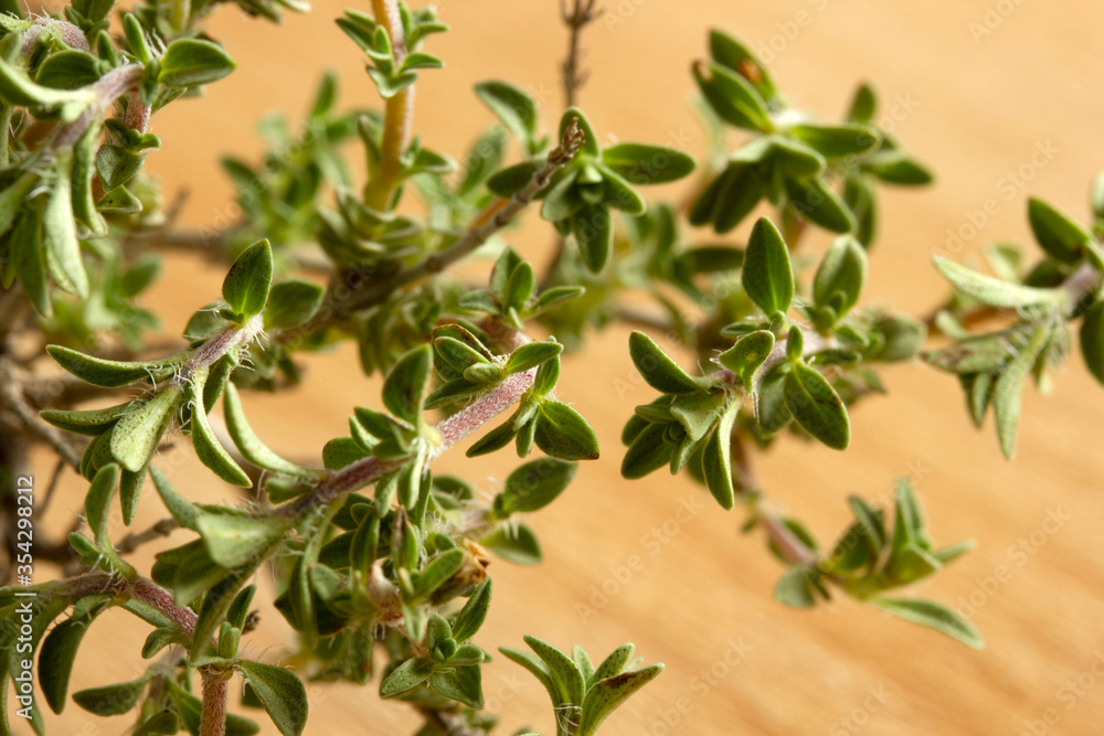 fresh thyme on wooden table fresh thyme on wooden table