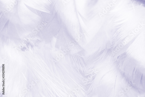 Beautiful violet feather wool plume pattern texture background , pastel color style © nadtytok28