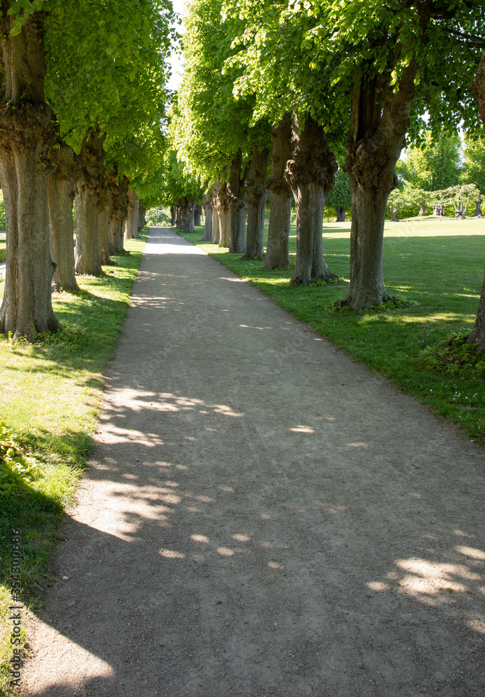 Alley in frederiksborg park with sunlight