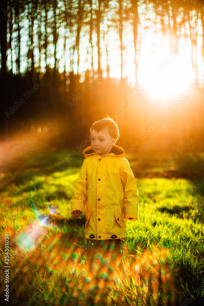 Little boy in a yellow jacket at sunset in the forest. Nature care concept. 
Take care of the environment. Action against deforestation. Take care of the forest. 
Forest is the lungs of the planet