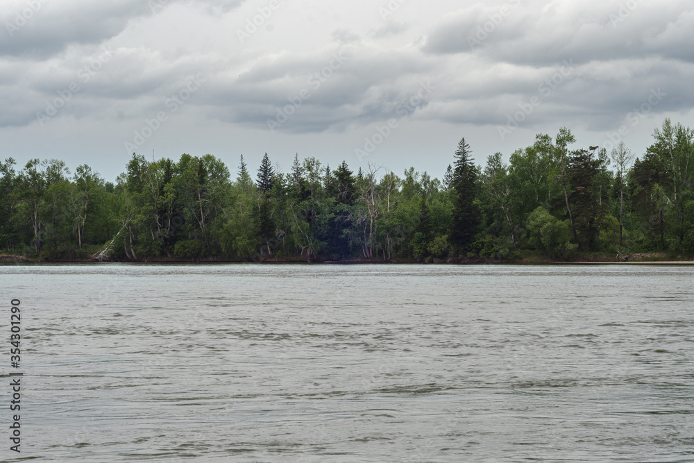 view of the mountain river and forest on the horizon in cloudy weather