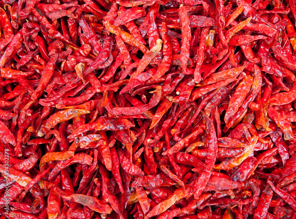 Fototapeta premium Dried red hot chili peppers