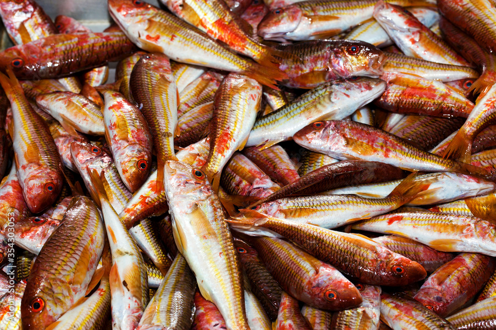 Raw Fresh Seafood Fishes on Market