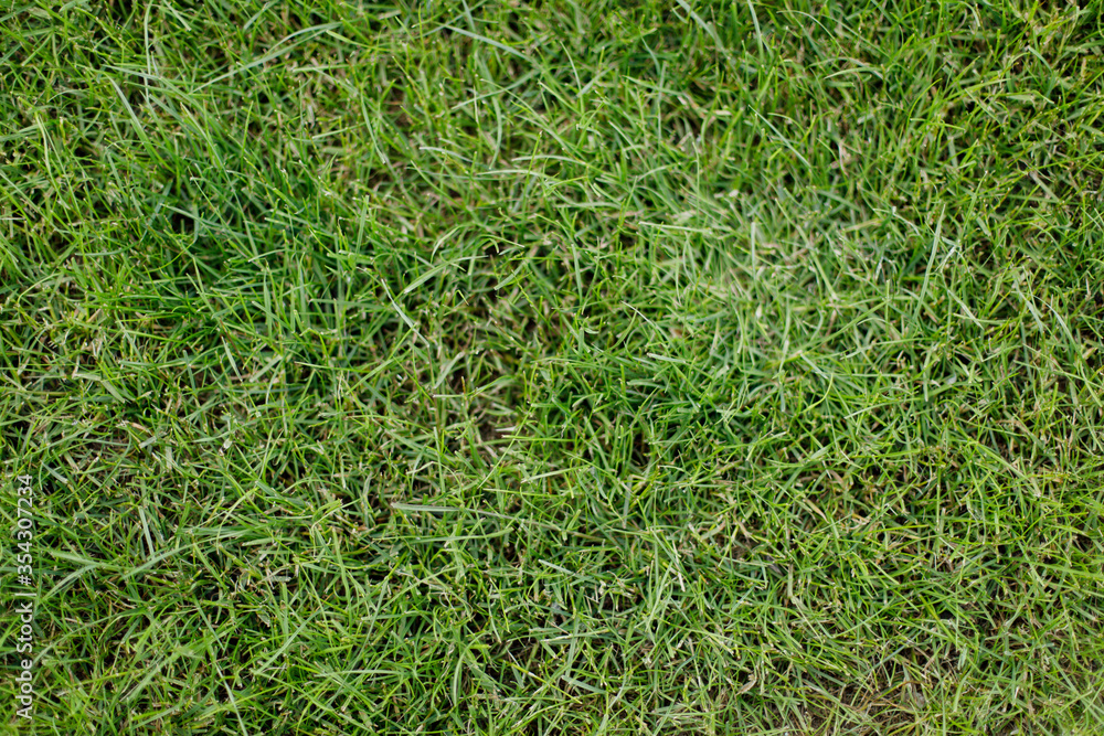 lawns with green grass above lawns with green grass above