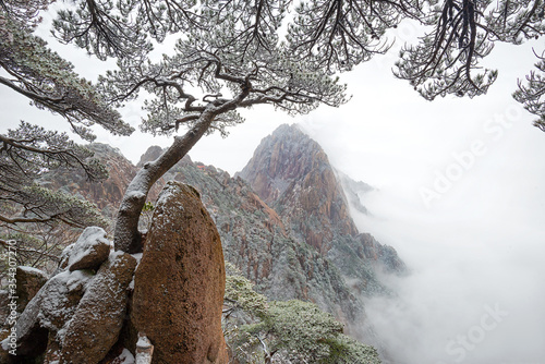 Beautiful mountain landscape in snow ( Huangshan, Mount Huang in China )  photo